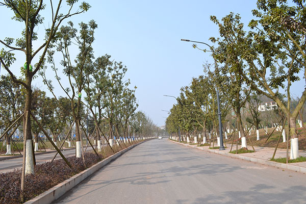 龙汇街南延线延伸段